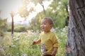 Happy joyful Asia Chinese little boy toddler child enjoy Spring have fun outside embrace nature outdoor carefree childhood Royalty Free Stock Photo