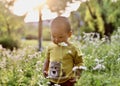 Happy joyful Asia Chinese little boy toddler child enjoy Spring have fun outside embrace nature outdoor carefree childhood flower Royalty Free Stock Photo