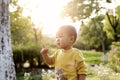 Happy joyful Asia Chinese little boy toddler child enjoy Spring have fun outside embrace nature outdoor carefree childhood flower Royalty Free Stock Photo