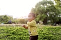 Happy joyful Asia Chinese little boy toddler child enjoy Spring have fun outside embrace nature outdoor carefree childhood meadow Royalty Free Stock Photo