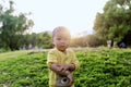 Happy joyful Asia Chinese little boy toddler child enjoy Spring have fun outside embrace nature outdoor carefree childhood meadow Royalty Free Stock Photo