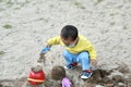 Happy joyful Asia Chinese little boy toddler child play sand on a beach use tools toy shovel buckets and spades outdoor outside Royalty Free Stock Photo