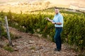 Theres much to do around here. Portrait of a farmer working in a vineyard.