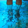 Theres no better way to exfoliate. an unidentifiable man standing in shallow water with fish swimming around his legs.