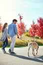 Theres nothing like a recreational walk with our labbie. a loving young couple taking their dog for a walk through the