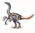 Dinosaur therizinosaurus cheloniformis