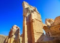 Thermae of Caracalla Royalty Free Stock Photo