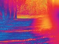 Thermal camera view of path in the forest