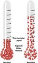 Thermal Expansion of Liquids