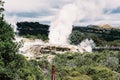 Thermal Gyser In New Zealand Royalty Free Stock Photo