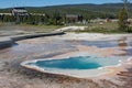 Thermal Hot Spring Sulfur pools in Yellowstone National Park Royalty Free Stock Photo
