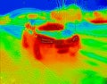 Thermal image of a car Royalty Free Stock Photo