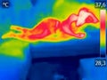 Thermal image Young woman is lying on bed