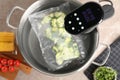 Thermal immersion circulator and vacuum packed broccoli in pot on grey marble table, flat lay. Sous vide cooking Royalty Free Stock Photo