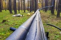 Thermal insulation of water pipes. Thermal insulation of plastic pipes. Coniferous forest. Isotherm Royalty Free Stock Photo