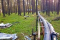 Thermal insulation of water pipes. Thermal insulation of plastic pipes. Coniferous forest. Isotherm Royalty Free Stock Photo