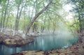 Thermal lagoon under deep sky , Blurred photo of morning fog over a lake in cold autumn weather in half moon san luis potosi