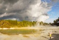 Thermal Lake, Volcanic area Rotorua, New Zealand Royalty Free Stock Photo