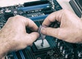 thermal paste for installing a cooler on a processor in a computer Royalty Free Stock Photo