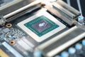 Thermal paste lying on microchip for video card closeup Royalty Free Stock Photo