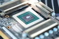 Thermal paste lying on processor from video card closeup Royalty Free Stock Photo