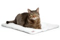 Thermal pet warming pad with insulated layers on clean white surface Royalty Free Stock Photo