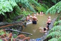 Thermal pools of Caldeira Velha on Sao Miguel island, Azores Royalty Free Stock Photo