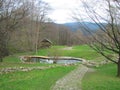 Thermal spa in a forest in the mountains in nature