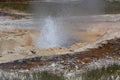 Thermal Splash at Yellowstone National Park