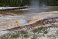 Thermal Splash at Yellowstone National Park