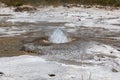 Thermal Splash at Yellowstone National Park