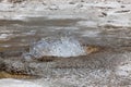 Thermal Splash at Yellowstone National Park