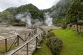 Thermal Vents Near Furnas