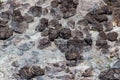Thermal volcano background rock texture