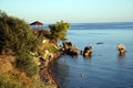 Thermic Bay, Chalkidiki, Greece Royalty Free Stock Photo