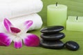 Thermo-therapy stones with orchids (1) Royalty Free Stock Photo