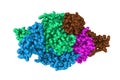 Thermodynamic and structure guided design of statin HMG-CoA reductase inhibitors. Molecular model. 3d illustration