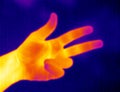 Thermograph-Three fingers