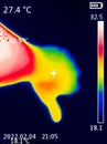 A thermographic image of a hand with a human heart, showing different temperatures in different colors, from blue indicating Royalty Free Stock Photo