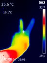 A thermographic image of a hand with a human heart, showing different temperatures in different colors, from blue indicating Royalty Free Stock Photo