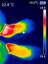 thermographic image of a person`s legs showing different temperatures in different colors, from blue indicating cold to red