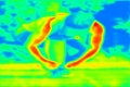 Thermographic scan of a human body within exercise. Different temperatures Royalty Free Stock Photo