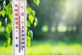 The thermometer on the background of birch branches in sunny weather shows 30 degrees heat_ Royalty Free Stock Photo