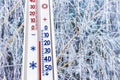 A thermometer on a background of covered hoarfrost birch branches shows 15 degrees frost_ Royalty Free Stock Photo