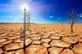 Thermometer on background with dead tree, cracked earth , drought, water crisis, world climate change, global warming Royalty Free Stock Photo