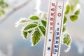 A thermometer on a background of frost-covered leaves shows 5 degrees below zero Royalty Free Stock Photo