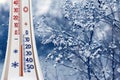The thermometer on a background of snow-covered branches of plants shows a temperature of minus 15 degrees Royalty Free Stock Photo