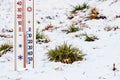 The thermometer on a background of snow-covered grass shows minus 5 degrees