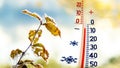 The thermometer on the background of a snow-covered tree branch shows 5 degrees below zero Royalty Free Stock Photo