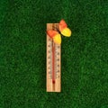 Thermometer displaying high 40 degree hot temperatures in sun summer day Royalty Free Stock Photo